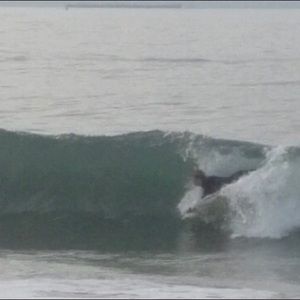 Meet your Posher, Ty